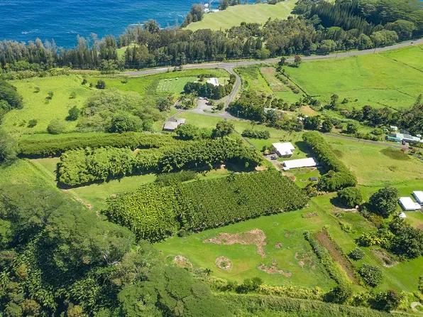 28-1829 Old Mamalahoa Hwy, Honomu, HI 96728