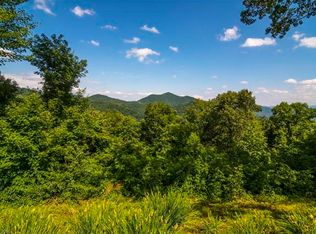 302 S Cove Rd, Canton, NC 28716