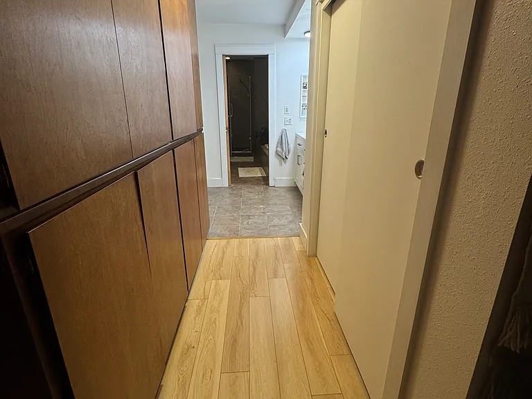 closet hallway in master