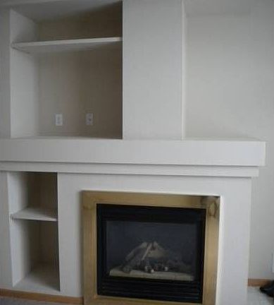 Fire place/entertainment