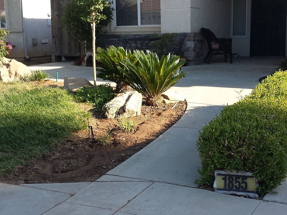 Front Yard