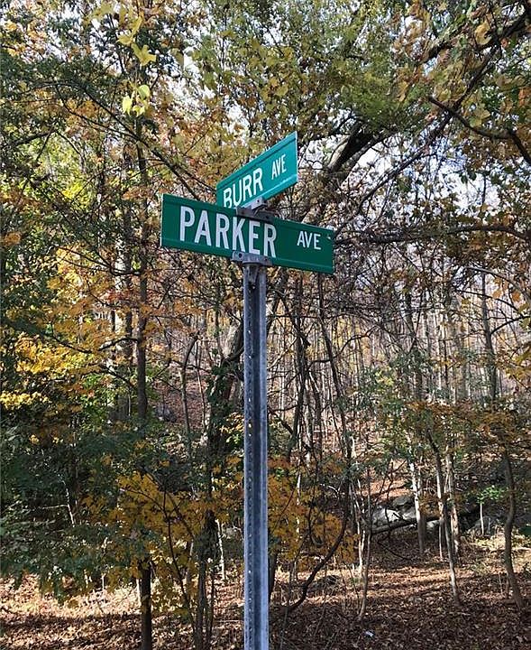 2nd image of Louise Ln