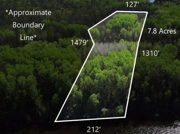 9 Driftwood Ln, Baudette, MN 56623