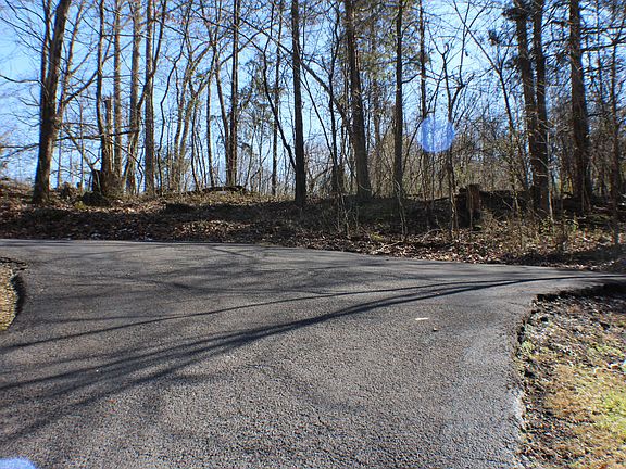 4th image of 613 Windsor Forest Dr