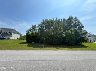 159 Snow Goose Ln, Sneads Ferry, NC 28460