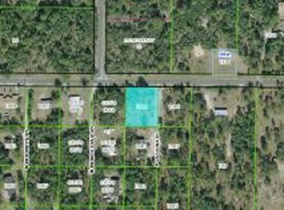 1310 E Ray St, Hernando, FL 34442