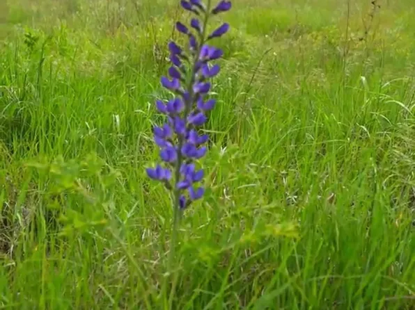 0 SW 210th St, Douglass, KS 67039