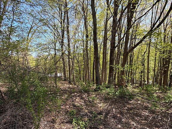 3rd image of Lots 2a&3a Reservoir Rd