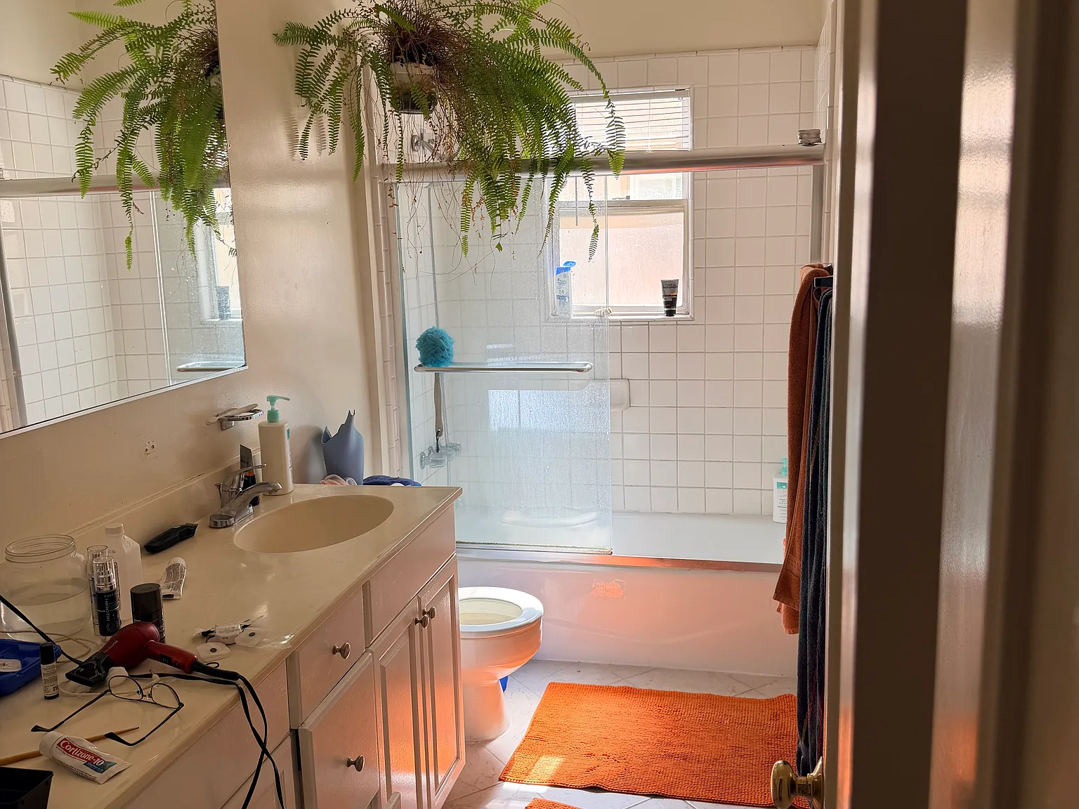 1 bed, 785 sqft, $2,450 — Photo 2