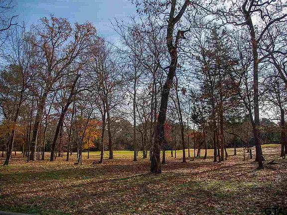 3rd image of 183 S Eagles Bluff Blvd
