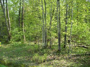 Tbd Daniels Rd, Ontonagon, MI 49953