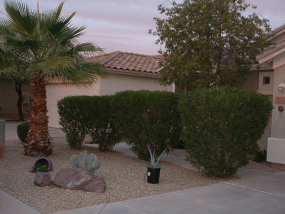 Front Yard