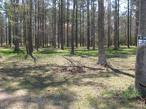 3rd image of 117 Southern Plantation Drive South #Lot 288