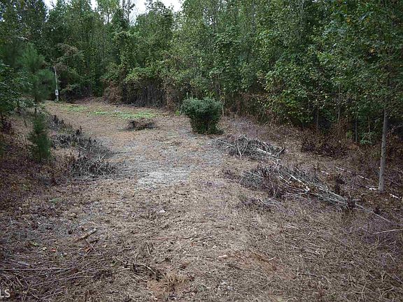3rd image of 215 Wild Cherry Dr