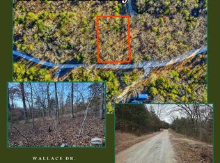 000 Wallace Drive, Rockaway Beach, MO 65740