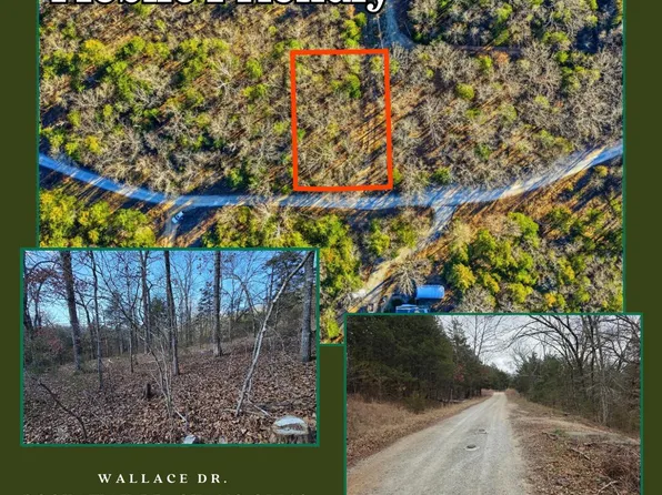 000 Wallace Drive, Rockaway Beach, MO 65740