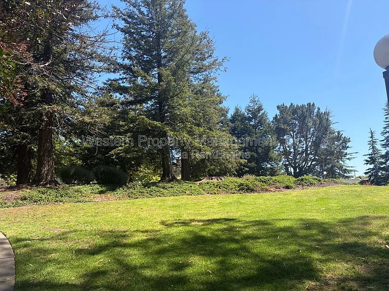 1132 Callas Ln #2 — Photo 19