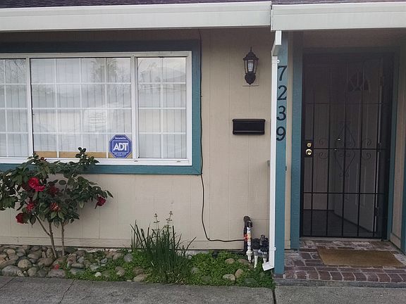 3rd image of 7239 Larchmont Dr