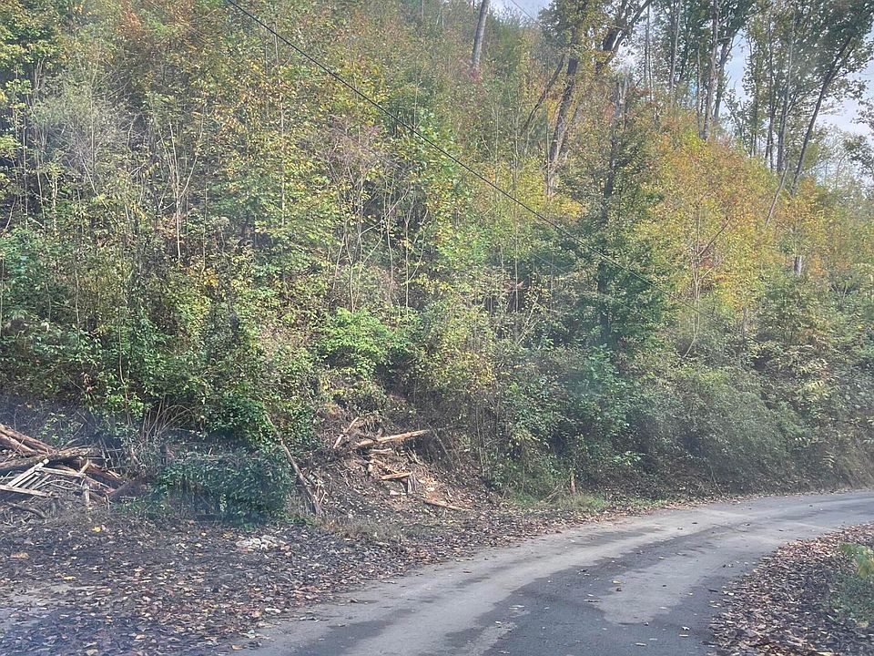 2nd image of 527 Deep Hollow Ct
