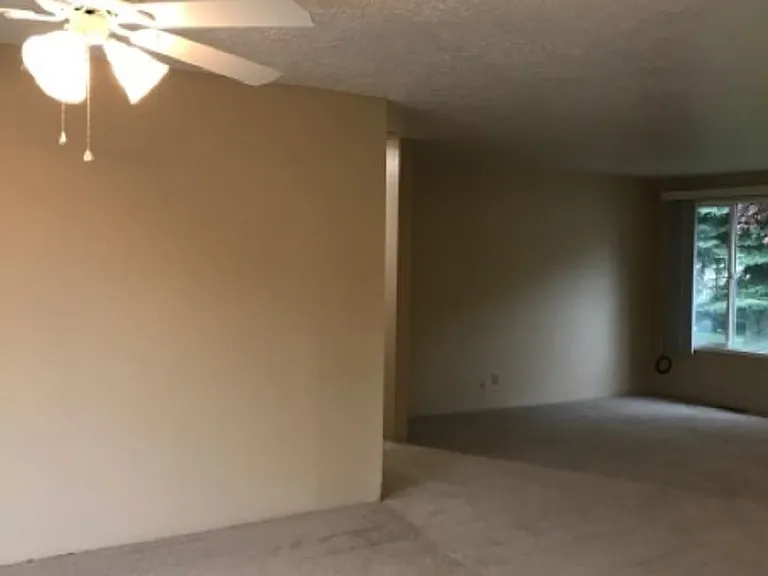 204 Crestview Dr — Photo 4