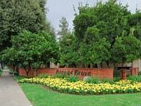 1st image of 264 N Orange Grove Blvd