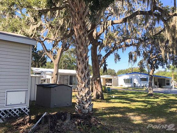 Back yard with trees
