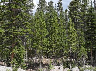 Lake Rd, Idaho Springs, CO 80452