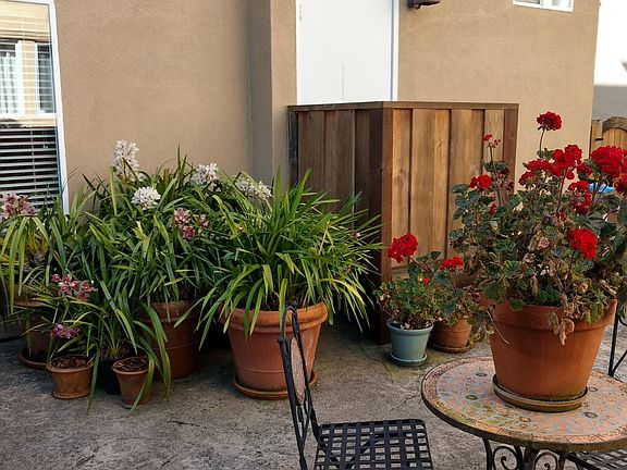 3rd image of 1532 Floribunda Ave APT 2