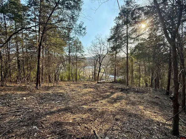 004-00632-000 State Highway 345, Cotter, AR 72626