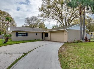 3434 Fallview Ct, Land O Lakes, FL 34639
