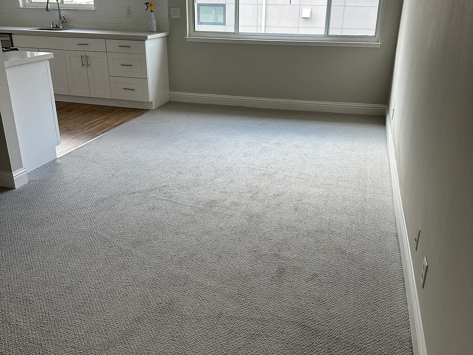 2 bed, 900 sqft, $3,300 — Photo 4