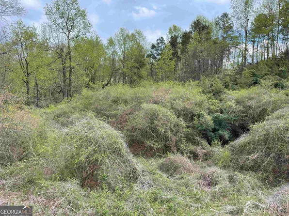 0 Highway 441 Byp, Baldwin, GA 30511