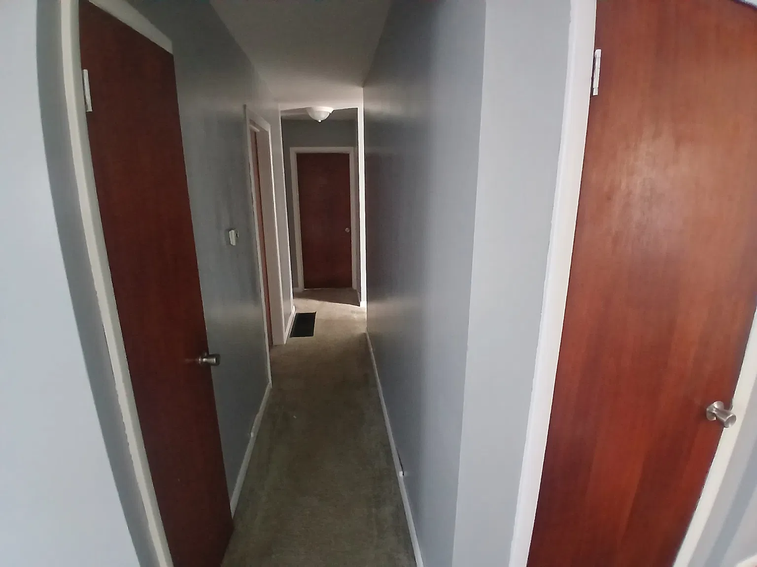 3 bed, 1.5 bath, 1290 sqft, $1,650 — Photo 4