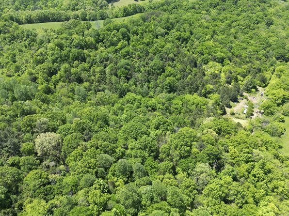 66 Thompson Hollow Rd, Taft, TN 38488