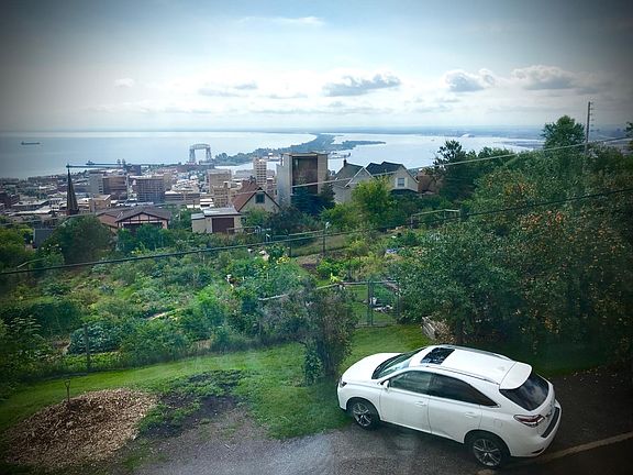 Strawberry Hill Community garden is a great place to grow your own food.