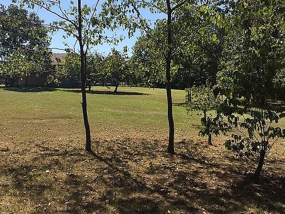 Super private back yard