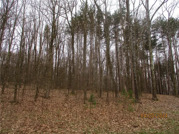 72 Dodd Rd Lot 4, Windsor, NY 13865