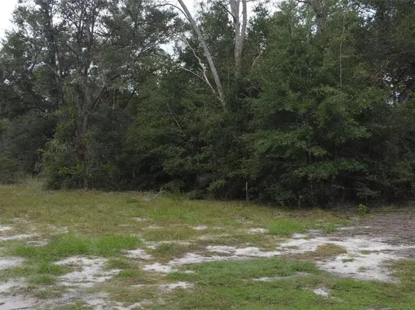 NE 127th Pl, Bronson, FL 32621
