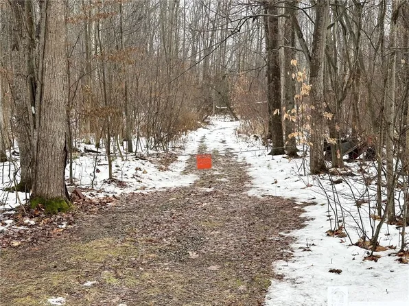 0 Poland Center Rd #37, Kennedy, NY 14747