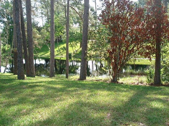 5th image of 91 Wentworth Ln