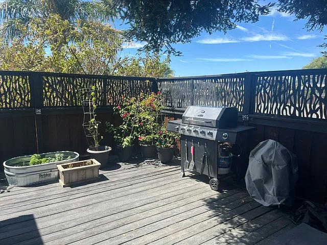 Barbecue in the backyard along with a little herb garden already sprouting.