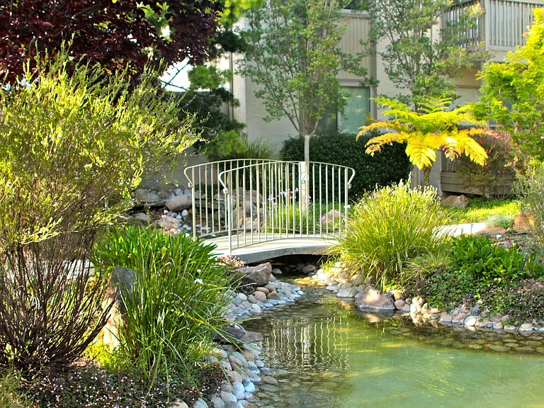 Spring Creek Apartments — Photo 8