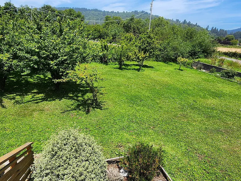 120 Hilton Rd — Photo 3