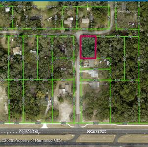 LOT-175C Madison Ave, Dade City, FL, 33523