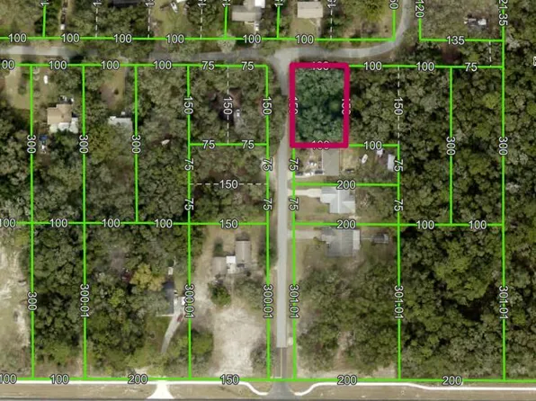 LOT-175C Madison Ave, Dade City, FL 33523