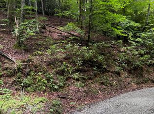9 Indian Lake Rd, Topton, NC 28781