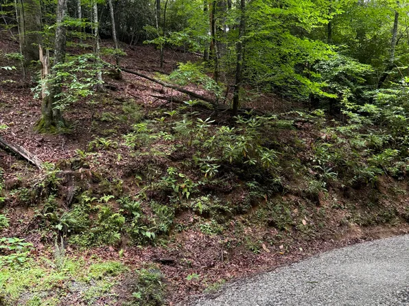 9 Indian Lake Road, Topton, NC 28781