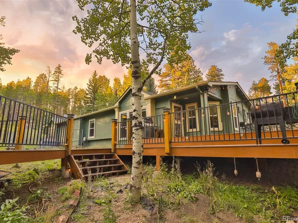 8481 S Warhawk Road, Conifer, CO 80433