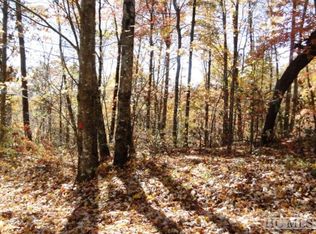 LOT 56 Birdnest Rd, Sapphire, NC 28774