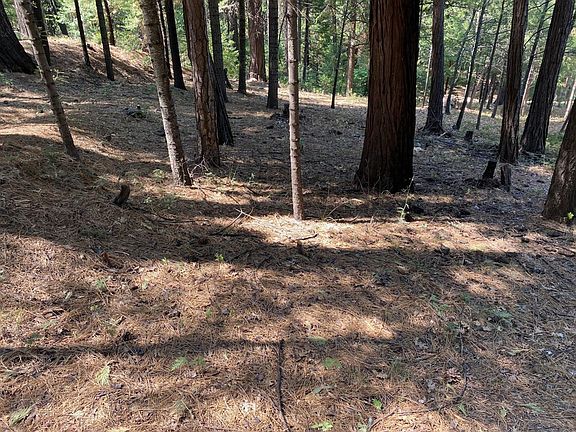 2nd image of 2046 El Dorado Dr Unit 13